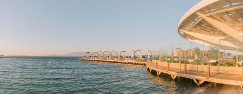 Breakfast and dinner served, international cuisine