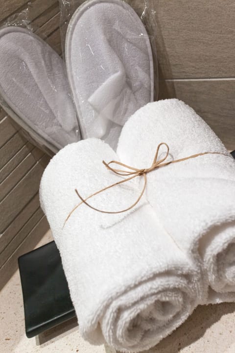 Combined shower/tub, hair dryer, bidet, towels