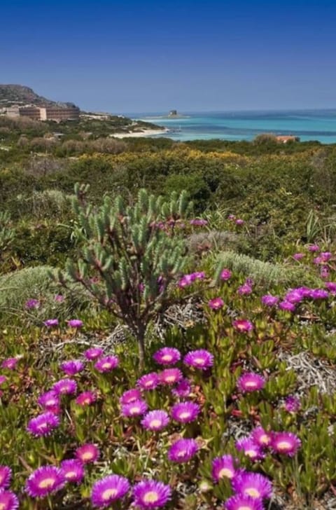 Beach nearby, white sand