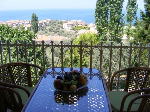 Standard Apartment | Balcony