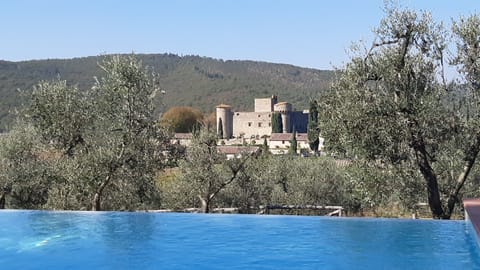 Seasonal outdoor pool, sun loungers