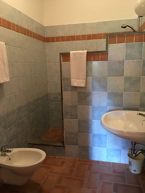Comfort Apartment | Bathroom | Shower, eco-friendly toiletries, hair dryer, bidet