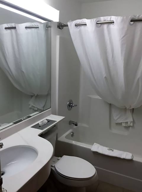 Combined shower/tub, free toiletries, hair dryer, towels