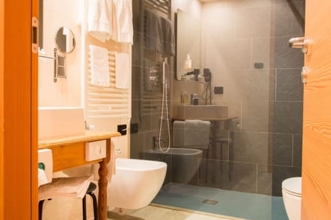 Shower, free toiletries, hair dryer, bidet