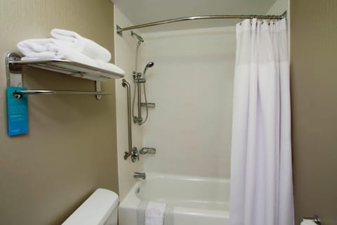 Combined shower/tub, free toiletries, hair dryer, towels