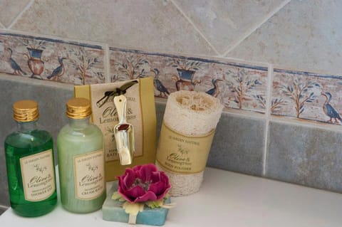 Shower, free toiletries, hair dryer, bidet