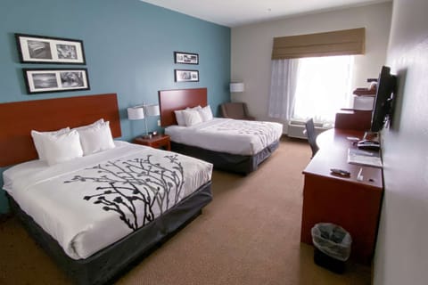 Standard Room, 2 Queen Beds | Premium bedding, in-room safe, individually decorated