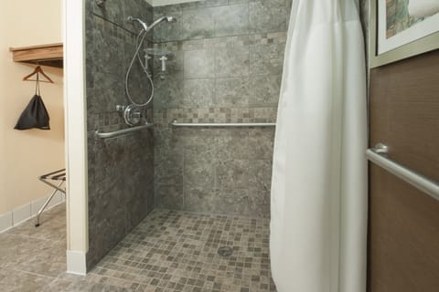 Combined shower/tub, free toiletries, hair dryer, towels