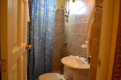Standard Double Room, 1 Queen Bed, Balcony, City View | Bathroom | Shower, free toiletries, hair dryer, towels