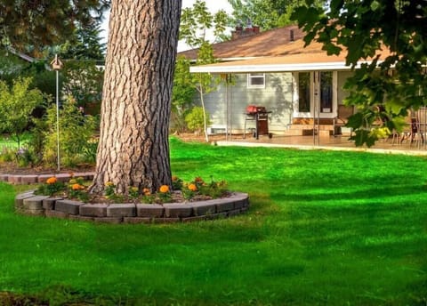 Our huge backyard, offers an ample room to play, explore, and create lasting memories. Relax under the shade of towering trees or indulge in outdoor activities.