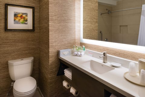 Suite, 1 King Bed | Bathroom | Hair dryer, towels, soap, shampoo