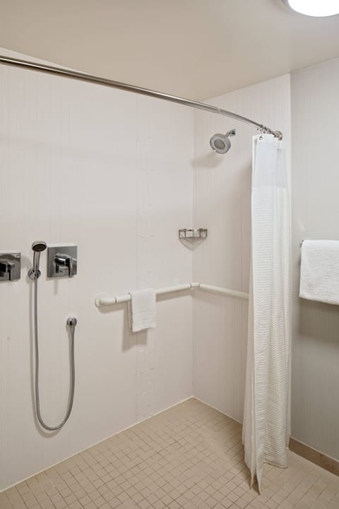 Hydromassage showerhead, eco-friendly toiletries, hair dryer, towels