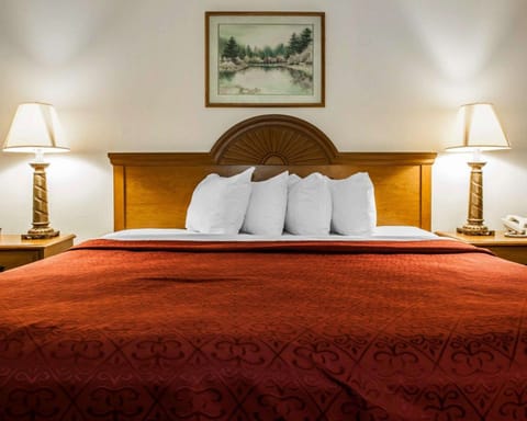 Standard Room, 1 King Bed, Non Smoking | In-room safe, desk, iron/ironing board, rollaway beds