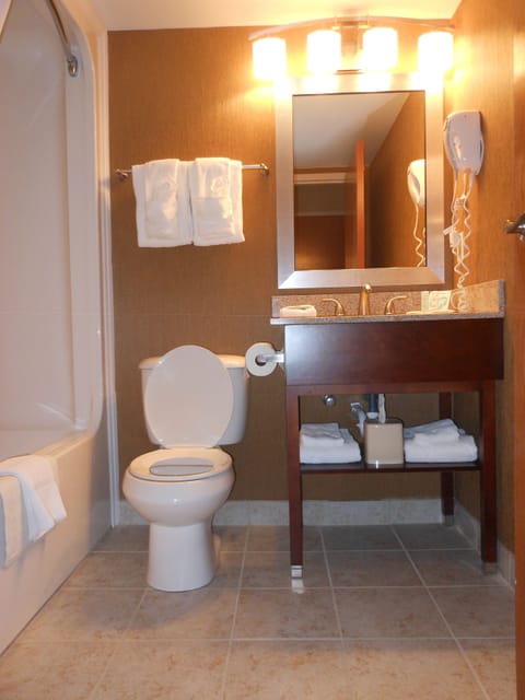 Combined shower/tub, free toiletries, hair dryer, towels