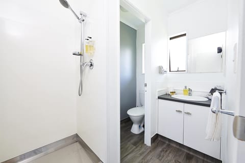 Deluxe Studio | Bathroom | Shower, free toiletries, hair dryer, bathrobes