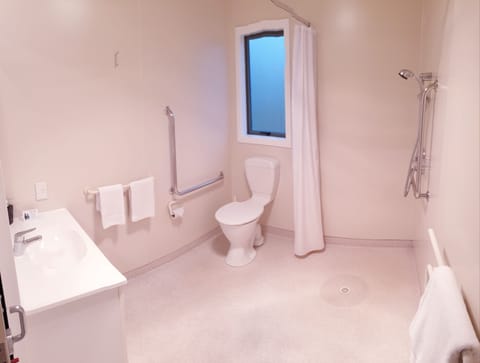 Executive Studio | Bathroom | Shower, free toiletries, hair dryer, towels