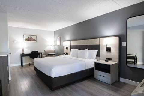 Room, 1 King Bed, Non Smoking | Premium bedding, desk, laptop workspace, blackout drapes