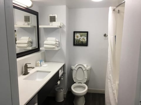 Combined shower/tub, free toiletries, hair dryer, towels