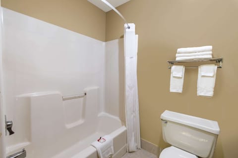 Combined shower/tub, free toiletries, hair dryer, towels