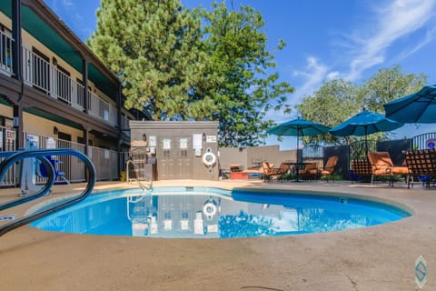 Seasonal outdoor pool, pool umbrellas, sun loungers