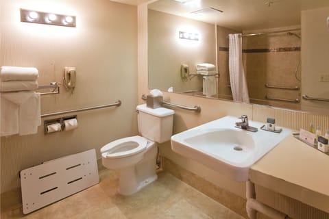 Room, 1 King Bed, Accessible, Non Smoking | Bathroom | Combined shower/tub, eco-friendly toiletries, hair dryer, bathrobes