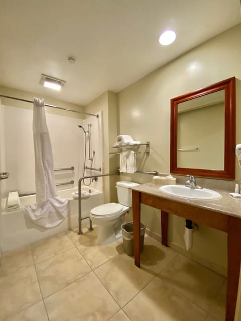 Standard Rom, 1 King Bed, Accessible Tub, Non Smoking | Bathroom | Combined shower/tub, free toiletries, hair dryer, towels