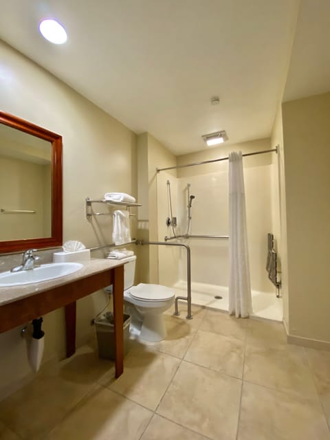 Standard Room, 1 King Bed, Accessible Roll-In Shower, Non Smoking | Bathroom | Combined shower/tub, free toiletries, hair dryer, towels
