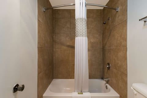 Combined shower/tub, free toiletries, hair dryer, towels