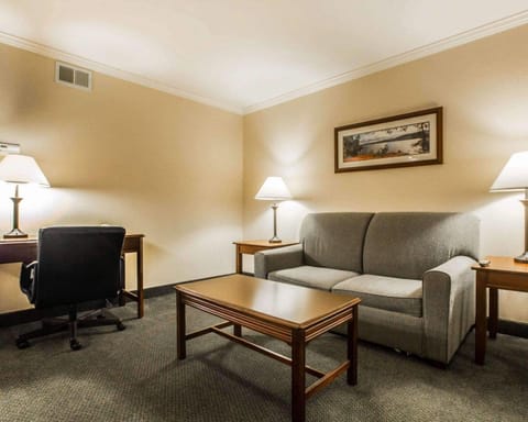 Suite, 1 King Bed | Desk, blackout drapes, iron/ironing board, free cribs/infant beds