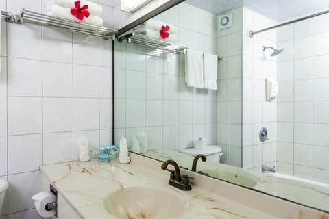 Combined shower/tub, free toiletries, hair dryer, towels