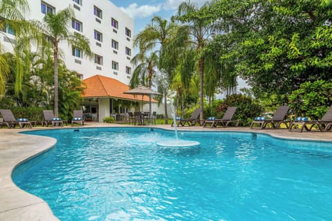 Outdoor pool, sun loungers