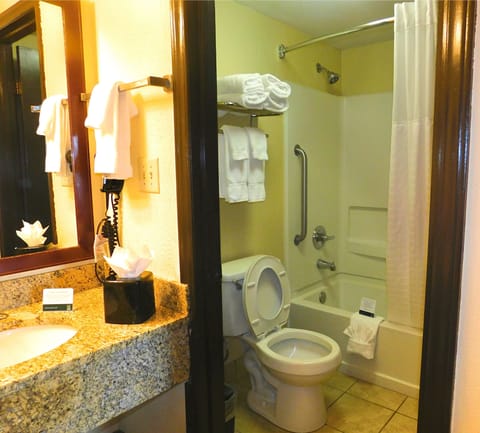 Combined shower/tub, free toiletries, hair dryer, towels