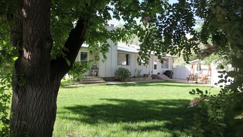 Sit under a tree and enjoy your stay.