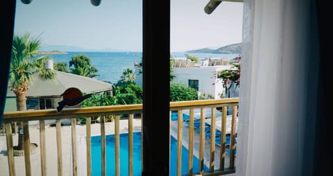 Standard Room, 1 Bedroom, Pool View, Beachfront | View from room