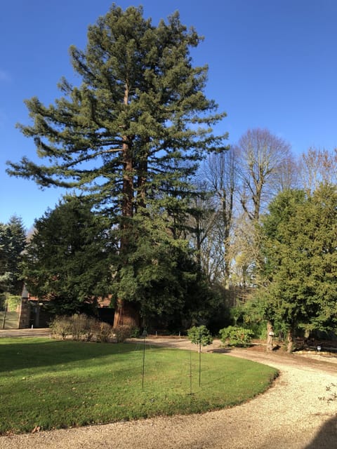 Premium bedding, minibar, individually decorated, individually furnished