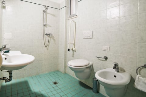 Shower, free toiletries, hair dryer, bidet