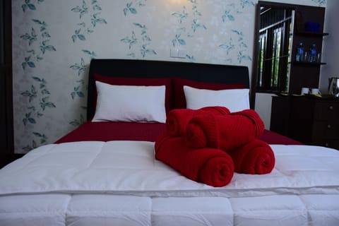 Deluxe Double Room, 1 Queen Bed, Private Bathroom, Mountain View | Desk, iron/ironing board, rollaway beds, free WiFi