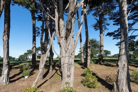 Golf course as seen from the yard