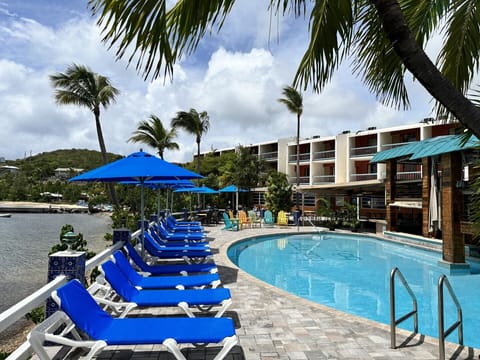 Outdoor pool, pool umbrellas, sun loungers