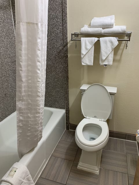 Combined shower/tub, free toiletries, hair dryer, towels