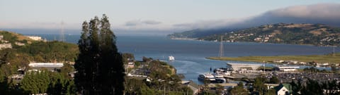 Take a ferry to Pier 39 in SF. Larkspur Ferry Terminal is only 5 minutes away!