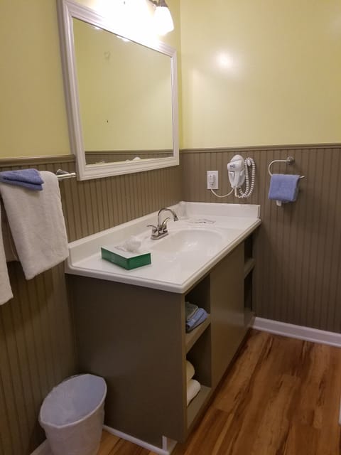 Standard Room, 2 Double Beds | Bathroom | Shower, free toiletries, hair dryer, towels