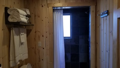 Cabin 6 | Bathroom | Shower, free toiletries, hair dryer, towels