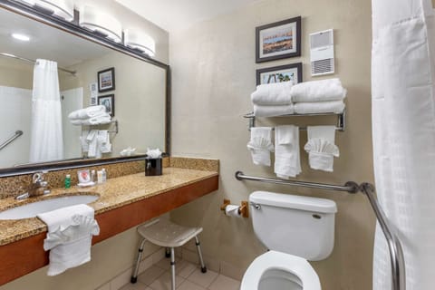 Combined shower/tub, free toiletries, hair dryer, towels