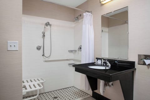 Room, 1 King Bed (Mobility/Hearing Access, Roll-In Shwr) | Bathroom | Free toiletries, hair dryer, towels