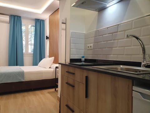 Superior Double Room, Kitchenette | Private kitchen | Cookware/dishes/utensils