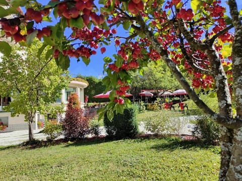 Panoramic Apartment, Mountain View | Garden view