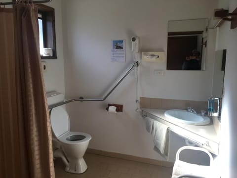 Twin Room | Bathroom | Shower, free toiletries, hair dryer, towels