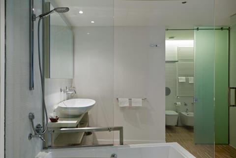 Combined shower/tub, hair dryer, bidet, towels