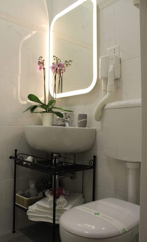 Deluxe Double or Twin Room | Bathroom | Shower, free toiletries, hair dryer, bidet